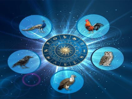 பஞ்சபட்சி